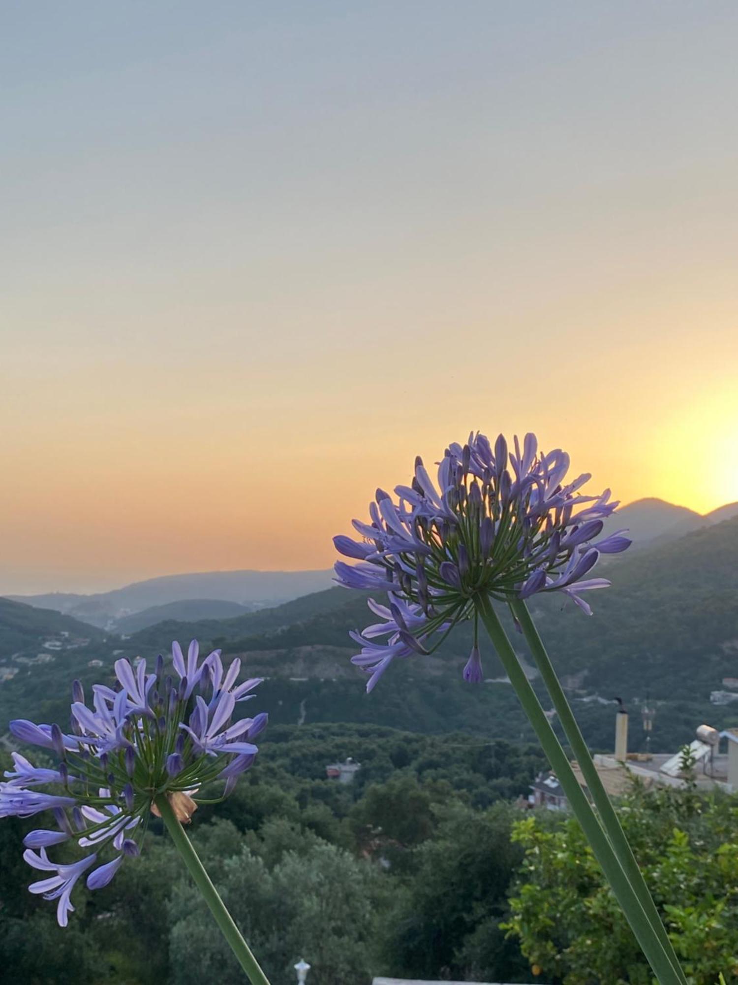 Vito'S Parga View Apartments Buitenkant foto